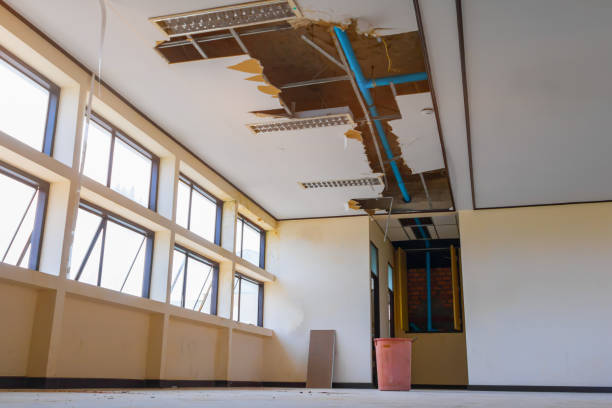 Best Professional water damage repair  in St James, MO