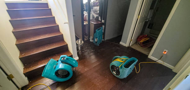 Best Water damage restoration cost  in St James, MO
