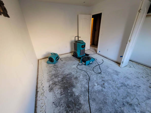 Best Water damage cleanup near me  in St James, MO