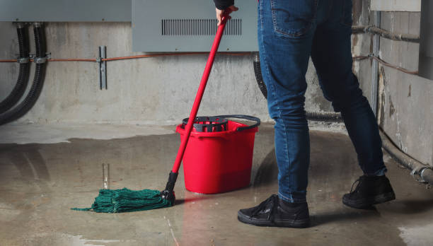 Best Emergency water damage restoration  in St James, MO