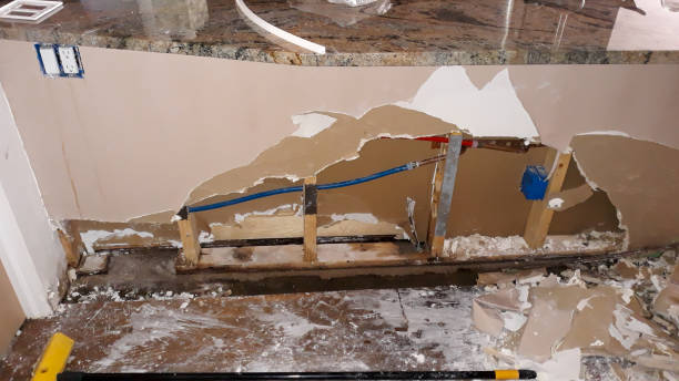 Best 24/7 water damage repair  in St James, MO