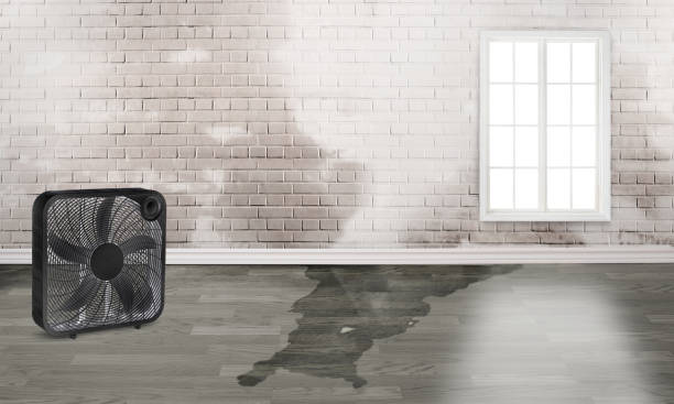 Water damage restoration mold remediation in St James, MO