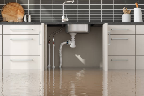 Best Flooded house restoration  in St James, MO