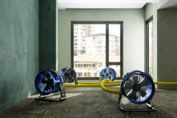 Best Commercial water damage restoration  in St James, MO